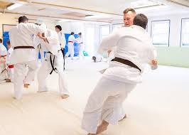 Image result for Backwell Karate