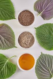 Image result for 깱깲깳깴깵깶깷깺깾깿꺀꺁꺂꺃꺆꺇꺈꺉꺊꺋꺍꺎꺏꺐