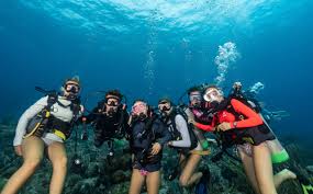 Image result for Dive Crew Scuba Diving