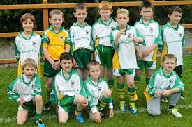 Image result for An Riocht Gaa Club