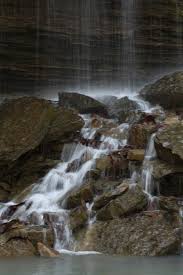 Image result for Dearne Valley Devils