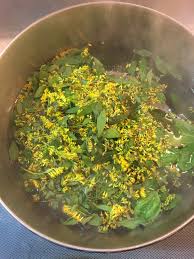 Attēlu rezultāti vaicājumam “Solidago canadensis fruit”