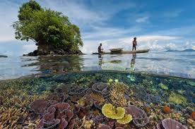 Image result for pemanasan global