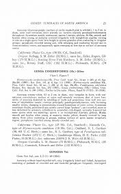 Attēlu rezultāti vaicājumam “Pachyphloeus melanoxanthus”