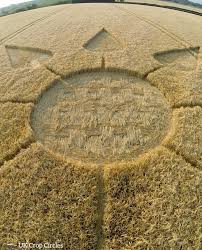 Image result for crop circles