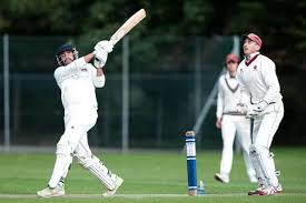 Image result for Fareham and Crofton Cricket Club