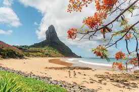 Image result for fernando de noronha