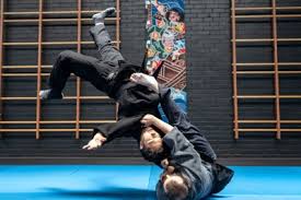 Image result for Hachidori ju-jitsu Martial Arts