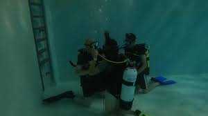 Image result for Meadurst Sub-Aqua Club