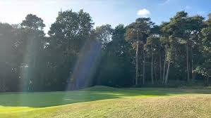 Image result for Chelmsford Gc