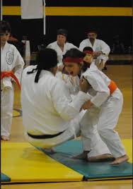 Image result for Ryusui-ryu Martial Arts School East Grinstead