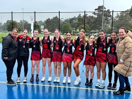 Image result for Elmdon Netball Club