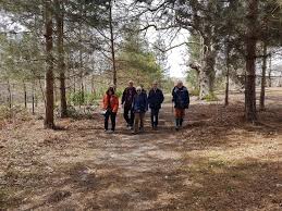 Image result for Whiteley Village Cricket Club