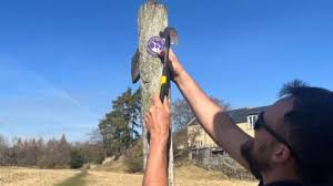 Image result for Allen Valley Quoits League