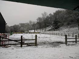 Image result for Bolton & N R P Shooting Club