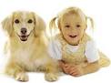 Choosing A Dog Breed - Discover How To Choose A Dog Breed