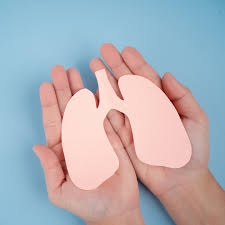 Image result for doação de órgãos