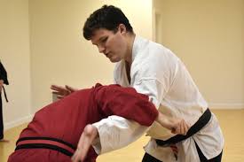 Image result for Aj Independent Martial Arts