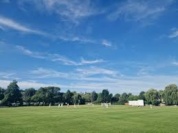 Image result for Buxted Park Cricket Club