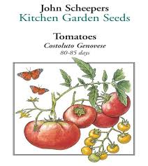 Afbeeldingsresultaat voor costoluto genovese tomato