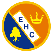 Image result for Ealing Eagles Ball Hockey Club