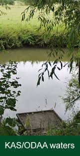Image result for Becmain Angling Society