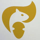 Image result for Haslington Cricket Club