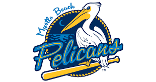 Image result for Pelicans Hockey Club