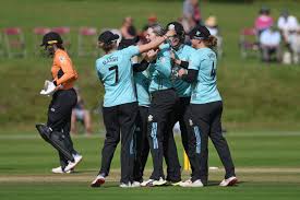 Image result for Antelope & Castle Cricket Club