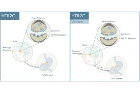 Image result for HTRPC