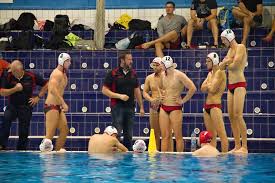 Image result for Cheltenham Swimming & Water Polo Club