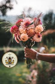 Image result for Dahlia x pinnata `Decorative Giants`