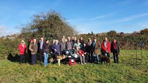 Image result for Worplesdon Tennis Association