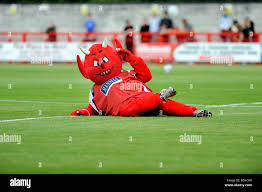 Image result for Crawley Town Football Club