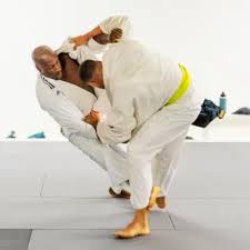 Image result for Revolution Dojo