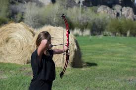 Image result for Frome Valley Archers