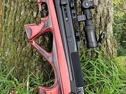 Image result for Porthmadog shooting range