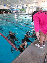 Image result for Gosport Dolphins Swimming Club