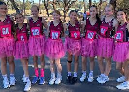 Image result for Pink Ladies Netball Club