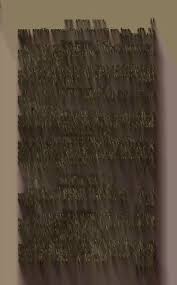 Attēlu rezultāti vaicājumam “Diderma ochraceum young”