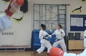 Image result for Soncho Karate Club