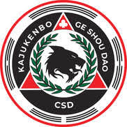 Image result for Koo Self Defence