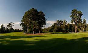 Image result for Foxhills Club & Resort