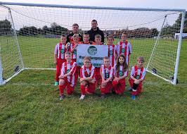 Image result for Rye Bay Football Club