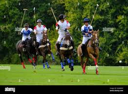 Image result for Cirencester Park Polo Club