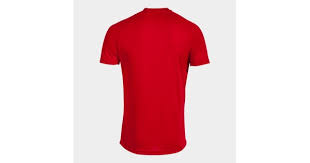 Image result for Мужская футболка Чижег пыжег