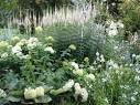 Sissinghurst. "Bankparade"