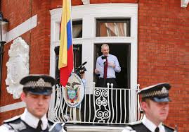 Image result for julian assange