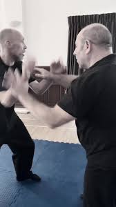 Image result for Kamon Wing Chun