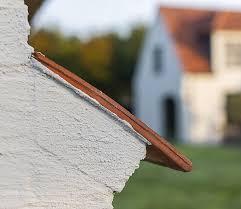 Image result for kaleien